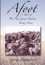 Afoot (George Brandsberg)