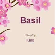 Basil