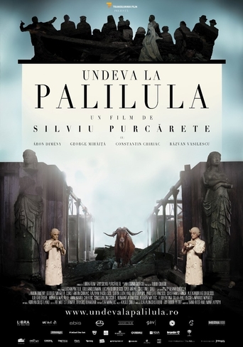 Somewhere in Palilula (2012)