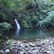 Karangahake Gorge to Wharawhara Rd End