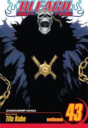 Bleach Volume 43 (Tite Kubo)