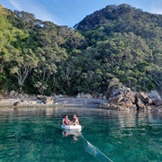 Hen and Chicken Islands