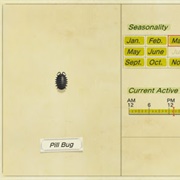 Pill Bug