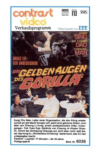 Bruce Lee the Invincible (1978)