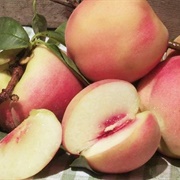 Babcock Peach