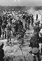Republic Steel Strike Riots Newsreel Footage (1937)