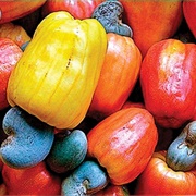 Cashew Apple / Cashew Fruit