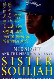 Midnight & the Meaning of Love (Midnight #2) (Sister Souljah)