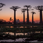 Madagascar (255,000 Annual Visitors)