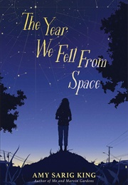 The Year We Fell From Space (Amy Sarig King)