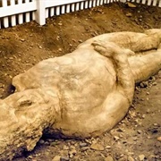 Cardiff Giant