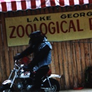 Lake George Zoological Park