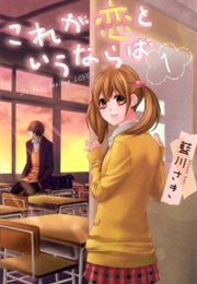 Kore Ga Koi to Iu Naraba (Aikawa Saki)