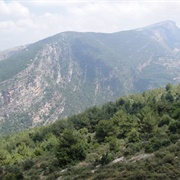 Mt Lebanon, Lebanon