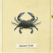 Gazami Crab
