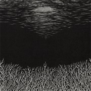 Bismuth - The Slow Dying of the Great Barrier Reef