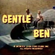 Gentle Ben