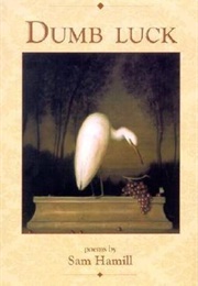 Dumb Luck (Sam Hamill)
