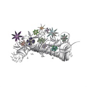 Dope Body - Home Body