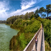 Lake Merced