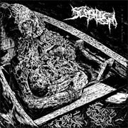 Delusional Parasitosis / Ecchymosis / Dissevered / Bleeding Scaphism - 4-Way Split