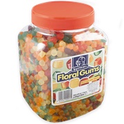 Squirrel Floral Gums