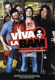 Viva La Bam - Volume 1 (2005)