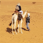 Ridden a Camel