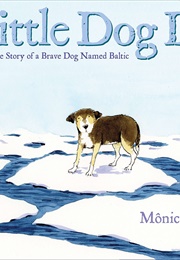 Little Dog Lost (Monica Carnesi)