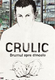 Crulic: The Path to Beyond (2011)