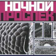Ночной Проспект — Кислоты (1988)