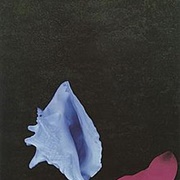 New Order Touched by the Hand of God