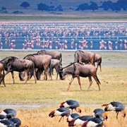 Ngorongo Crater National Park, Tanzania