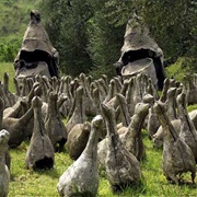 Garden of Daniel Spoerri