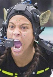 Motion Capture Mirrors Emotion (2009)