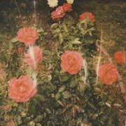 Girl in Red - Bad Idea!