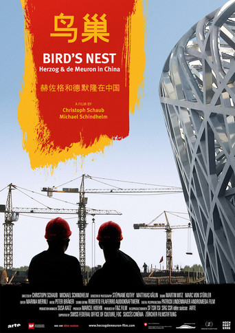 Bird's Nest - Herzog & De Meuron in China (2008)