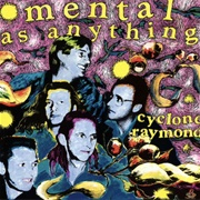Cyclone Raymond - Mentals as Anything
