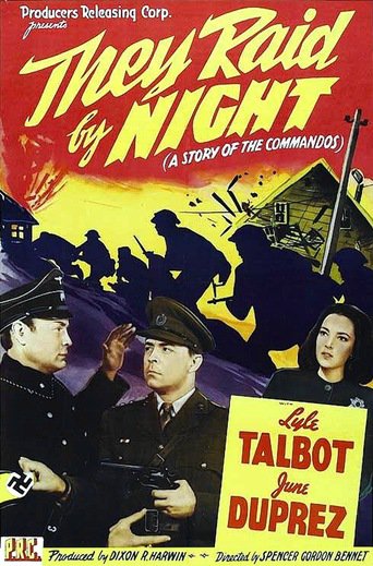 They Raid by Night (1942)