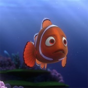 Coral - Finding Nemo