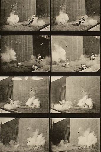 Chickens Scared by Torpedo (1887)