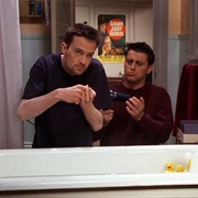 3 - The One With a Chick and a Duck