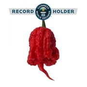 Carolina Reaper Pepper