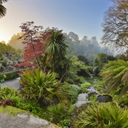 Trebah Garden