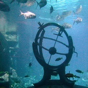 Atlantis Aquarium, Bahamas