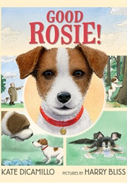 Good Rosie! (Kate DiCamillo)