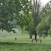 Streatham Common