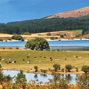 Parco Nazionale Della Sila