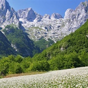 Prokletije & Valbone National Parks, Gashi River Nature Reserve, Montenegro / Albania