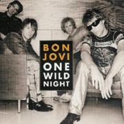 One Wild Night